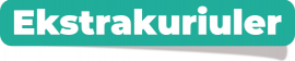Ekstra